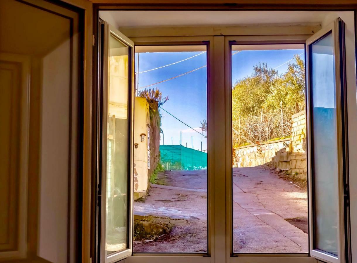 Casa Isetta & La Casetta Degli Dei Massa Lubrense Dış mekan fotoğraf